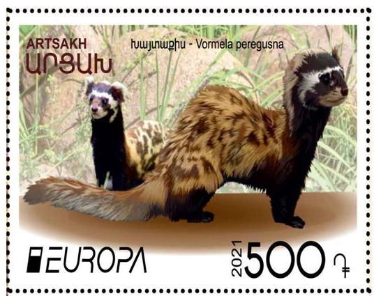Ներմուծեք նկարագրությունը_2393